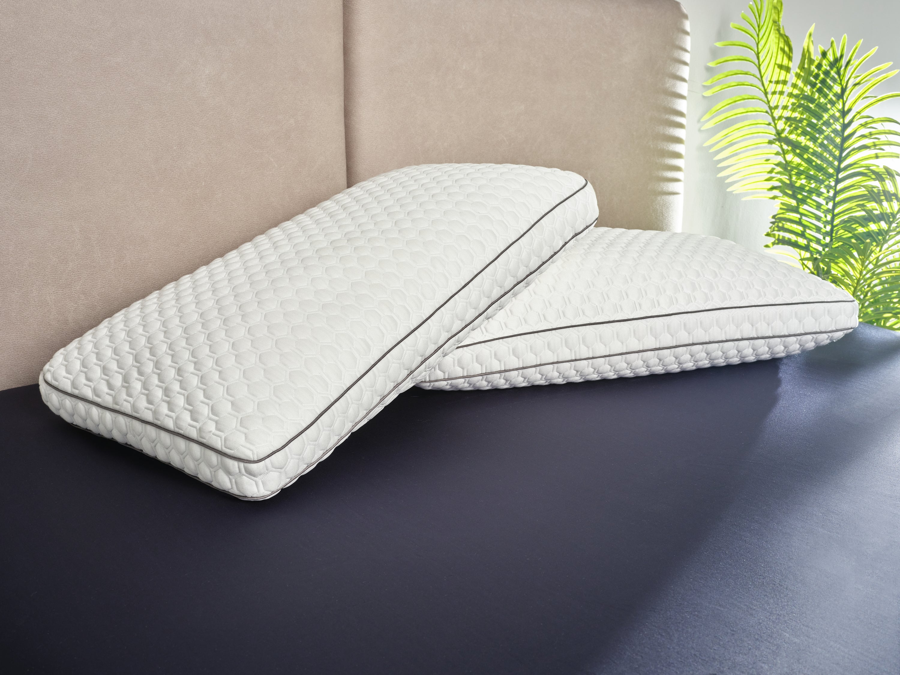 Sealy spinal shop alignment pillow